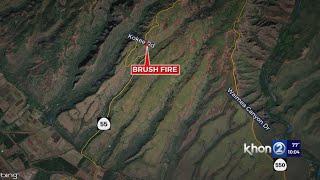 Kauai firefighters respond to Kokee brush fire