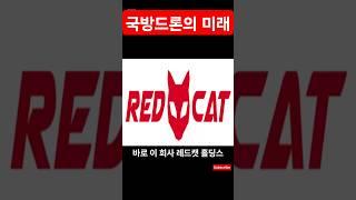 레드캣홀딩스(RCAT)