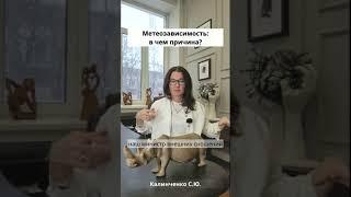Каковы причины метеозависимости?