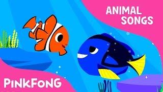 Clown Fish, Bluetang | Tropical Fish | Animal Songs | Pinkfong Songs for Children