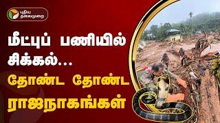 மீட்புப் பணியில் சிக்கல்... தோண்ட தோண்ட ராஜநாகங்கள் | Wayanad landslides  | PTT