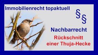 Nachbarschaftsstreit Grenzbewuchs - Thuja-Hecke zurückschneiden| Tutorial | Nachbarrecht