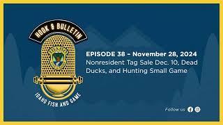 Hook and Bulletin | Ep. 38 - Nonresident Tag Sale Dec. 10, Dead Ducks, and Hunting Small Game