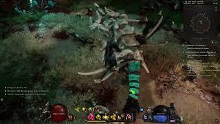 Last Epoch 300c Reign of dragons + Harbinger