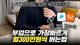 부업으로 가장 빠르게 월300만원씩 돈버는법l 재택 부업,직장인 투잡