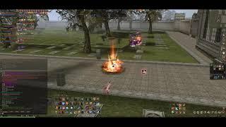 Lineage II - Casual PVP - Tyrr Titan (with pole wtf)