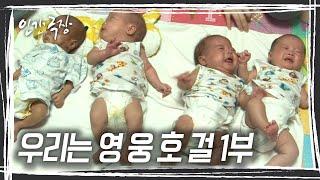 성격도 개성도 다 가지각색! 초등학생이 되어 돌아왔다! 10년 만에 다시 만난 네쌍둥이 ‘영웅호걸’ [인간극장] KBS 방송