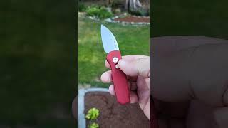 #youtubeshorts Protech Runt : Blade Show West Exclusive  #shorts