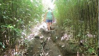 9-24-19 - Road to Hana: Bamboo Forest 3