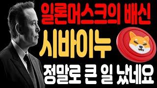 [시바이누코인 전망]일론머스크의 배신 시바이누 정말로 큰 일 났네요