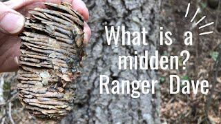 What is a Midden?