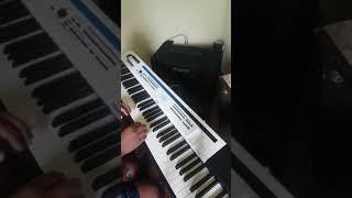 CASIO PX-5S Privia +  Cubo Roland KC-600  200 Watts