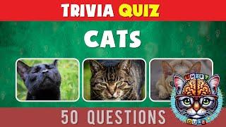  Purrfect Trivia: Test Your Cat Knowledge!  Cat Quiz