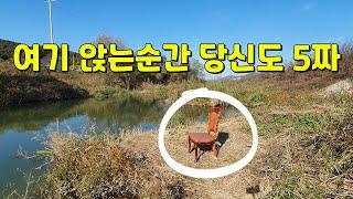 (주소공개)저수지 탈출붕어 서식지 한방터 월척 무료낚시터 붕어,메기,배스,