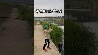 왕숙천 배스낚시 캐스팅