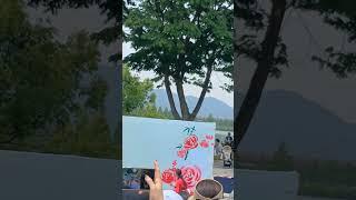 #S348글씨당 김소영 작가#글씨당#김소영#작가#김소영작가#글씨당대표#서울대공원#서울대공원공연#붓#예술#예술가#대표#대표님#장미#장미축제#서울대공원장미축제#과천서울대공원#한복#공연