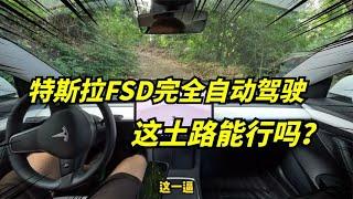 特斯拉FSD完全自动驾驶，在村里的土路表现如何？天花板操作！