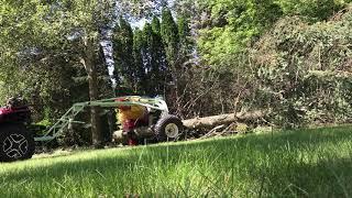 Logrite fetching arch moving the entire tree.