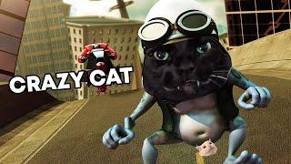 Crazy Cat - Alex F (Crazy Frog - Alex F - Cat Cover)