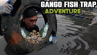 Harvesting fresh fish from Gango for Dinner