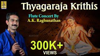 Thyagaraja Krithis | Classical Instrumental | Flute concert by A.K.Raghunathan