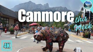 Charming Canmore This Week  1st week of Sept 2024