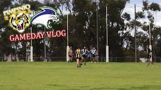 TIGERS GET UP IN KANIVA: AFL GAMEDAY VLOG