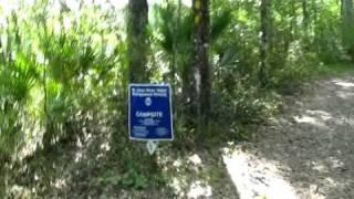 Hiking Black Creek Ravines Conservation Area, Clay County, Florida