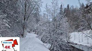 Walking in Jyväskylä, Finland,January 2023. A day after snow falling in winter