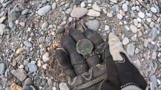 Beach Metal Detecting New Hampshire