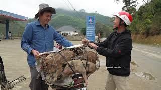 Robert sold a lot of pigs to prepare for his wedding. Green forest life