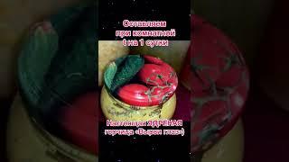 Домашняя горчица на рассоле ЯДРЁНАЯ горчица из порошка