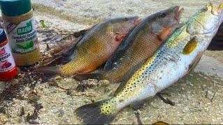 Living My Amazing Island Life (Catch, Clean, Cook) Saltwater Fishing Florida Flats With Shrimp