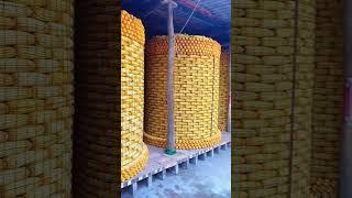 #shorts #agritools #farming2024 #agriculture  #JIKreactionagritools in farming 2024