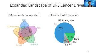 X. Shirley Liu, Computational modeling of protein degradation in tumors