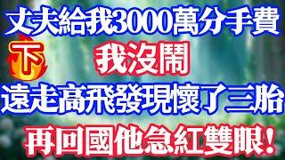 【下集】丈夫給我3000萬分手費，我沒鬧，遠走高飛發現懷了三胎，再回國他急紅雙眼！