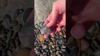 California has the best rockhounding 🫶 #rockhounding #rockhound #rocks #beach
