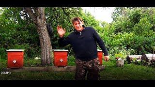 В одни руки. Стройка Хозяйство Пасека - Обзор