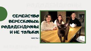 Семейство вересковых: рододендроны и не только!  часть 1