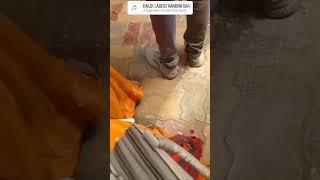 siddhant tripathi cricinformer haldi ceremony  #cricinformer #shortvideo