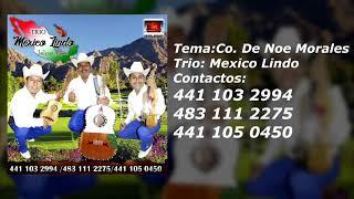 Trio: "MEXICO LINDO"