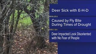 Ohio Division of Wildlife asking public to report sick deer