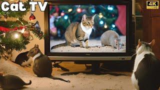 Cat TV for Cats to Watch| Mouse sand grabbing, hide & seek and playing on full screen 4k UHD 60fps