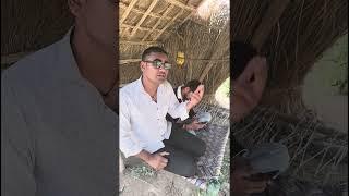 Meri video koi hit Jaati Hai To Koi pit Jaati Hai#trending #viral video#comedy #funny #hit