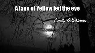 A lane of Yellow led the eye (Emily Dickinson Poem)