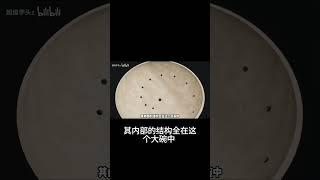 14世紀獅子噴泉：水壓與時間的古代科技奇蹟！