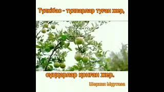 "Түркібастың Шынары"  кітабының таныстырылымы. Ә. Молдағұлова атындағы жом