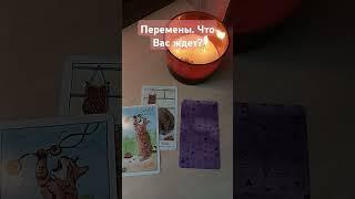 Перемены на пороге Что Вас ждет? Общий расклад на Таро  #таросегодня #тароонлайн