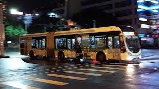【尼斯丹】台中市雙節公車