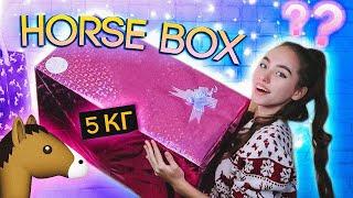 РАСПАКОВКА Horse BOX с Примеркой !